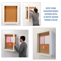 WHITE WOOD FRAMED SHADOW BOX DISPLAY CASES 1" DEEP with LED INTERIOR LIGHTING. SWING-OPEN, REPLACE YOUR POSTINGS, and SWING SHUT! OPTIONAL LOCK & KEY IS AVAILABLE