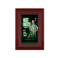 Wood 362 Poster Display SwingFrames 12x24 with Matboard