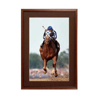 Elegant #353 Wood Picture Frames with Matboard | Small to Extra Large Poster Frames, 9 Finishes, 40+ Sizes
