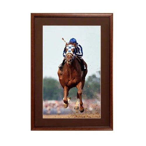 Elegant #353 Wood Picture Frames with Matboard | Small to Extra Large Poster Frames, 9 Finishes, 40+ Sizes