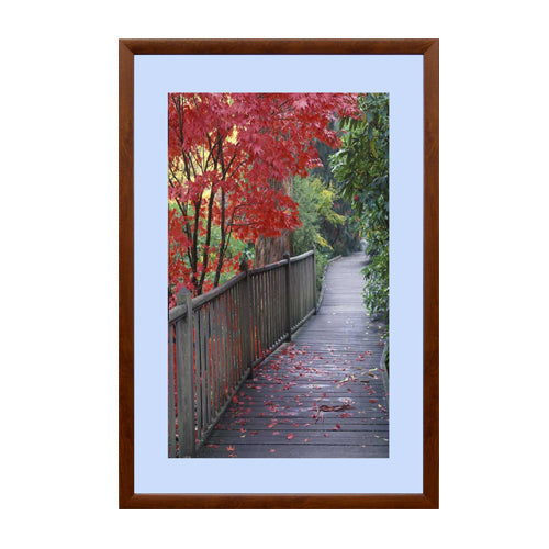 17x23 OAK WOOD SNAP FRAME (SHOWN WITH 4" BISCAY BLUE MATBOARD)