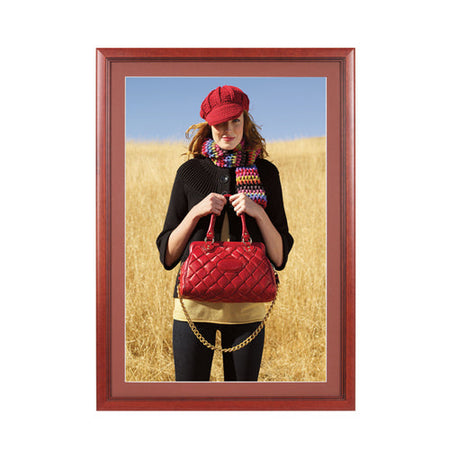 24x30 Frames, SwingFrame Classic Poster Display Frames, Quick Change 24 x  30 Poster Frame